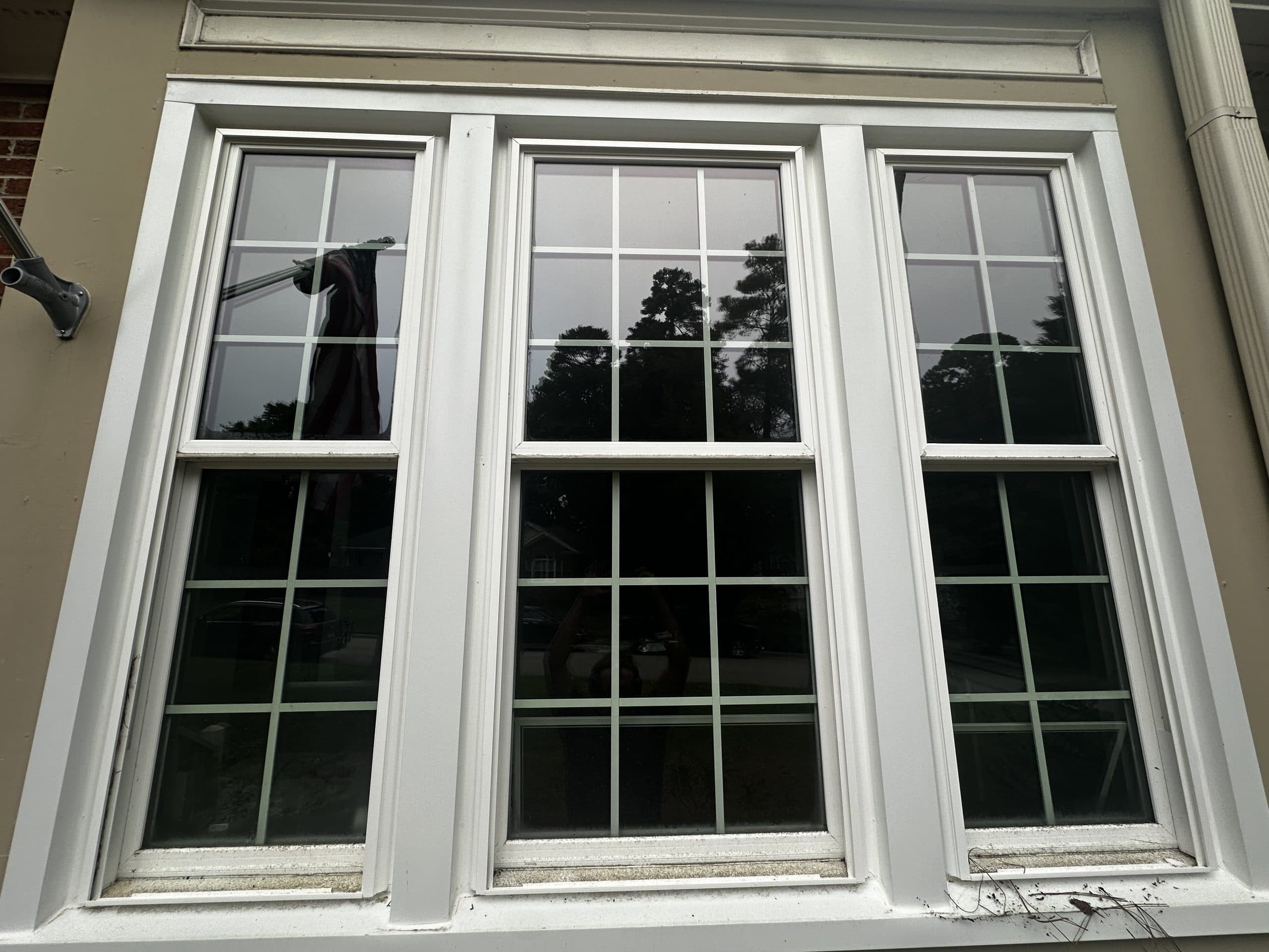 Triple window with pollen film and dirty sash