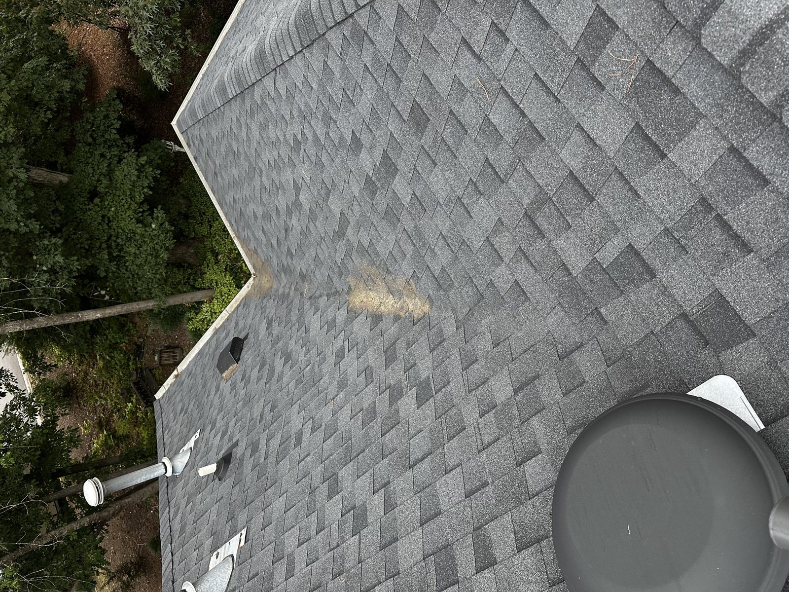 Same roof after needles were blown off